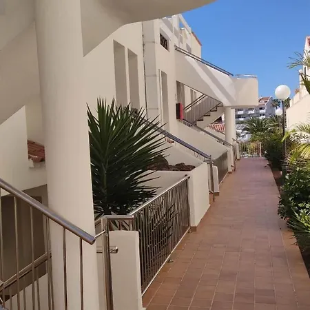 Apartamento Under The Lime, Beautiful Cristianos Los Cristianos (Tenerife)